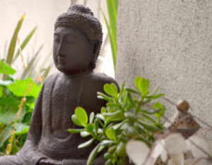 buddha and some plants